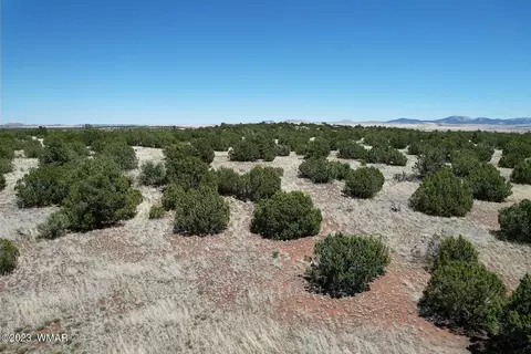Pine Ridge Ranch Lot #33, Concho, AZ 85924
