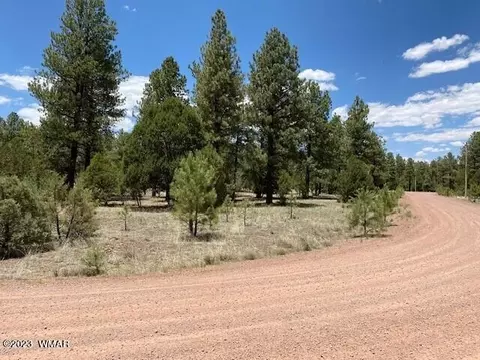 Lot 63 County Rd 2224, Nutrioso, AZ 85932