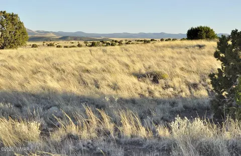 21 Cr 5128, Concho, AZ 85924