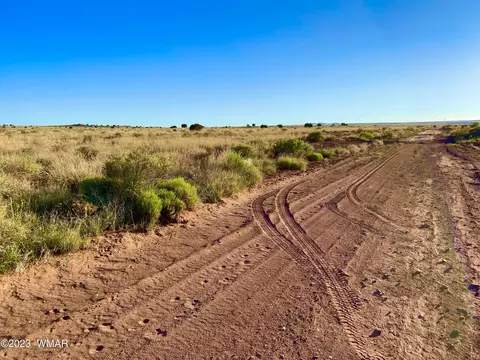 8309 Terry Trl, Snowflake, AZ 85937 photo 6