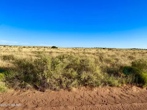 8309 Terry Trl, Snowflake, AZ 85937 photo 12