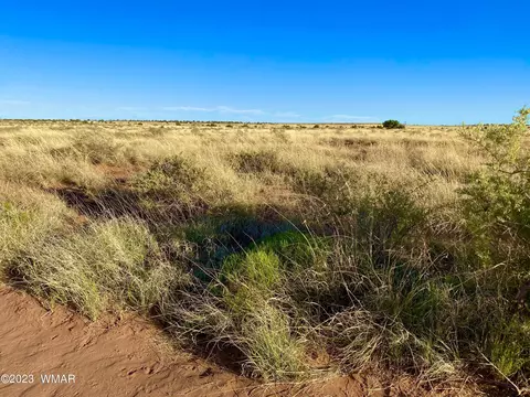 8309 Terry Trl, Snowflake, AZ 85937 photo 3