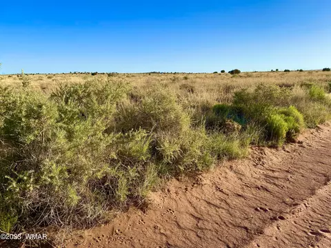 8309 Terry Trl, Snowflake, AZ 85937 photo 5