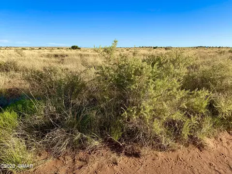 8309 Terry Trl, Snowflake, AZ 85937 photo 2