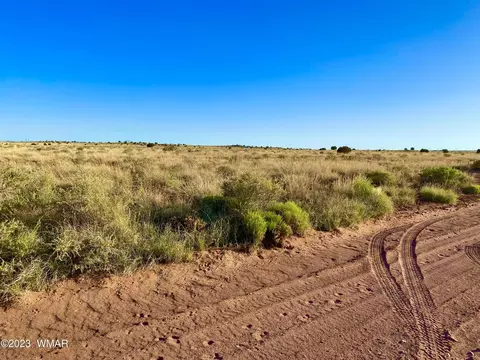 8309 Terry Trl, Snowflake, AZ 85937 photo 11
