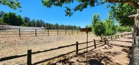 2319 S Buffalo Loop, Overgaard, AZ 85933 photo 41