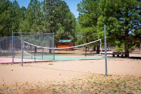 2319 S Buffalo Loop, Overgaard, AZ 85933 photo 53