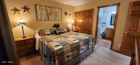 2319 S Buffalo Loop, Overgaard, AZ 85933 photo 27