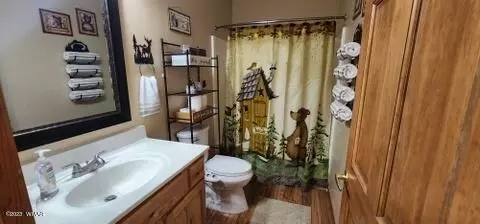 2319 S Buffalo Loop, Overgaard, AZ 85933 photo 24