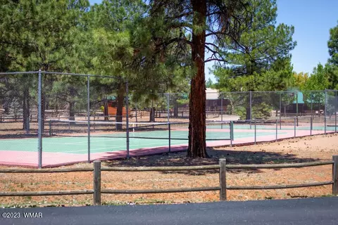 2319 S Buffalo Loop, Overgaard, AZ 85933 photo 54