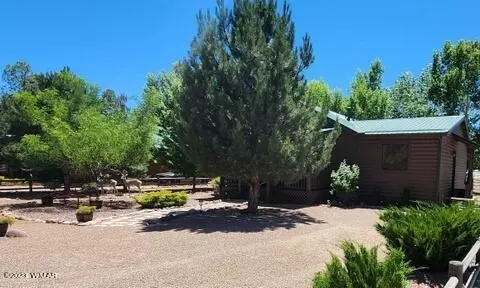 2319 S Buffalo Loop, Overgaard, AZ 85933 photo 3