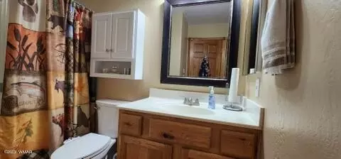 2319 S Buffalo Loop, Overgaard, AZ 85933 photo 28