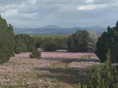 62 N 3106, Vernon, AZ 85940