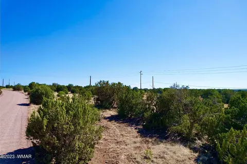 1772 Silver Lake Blvd, Show Low, AZ 85901