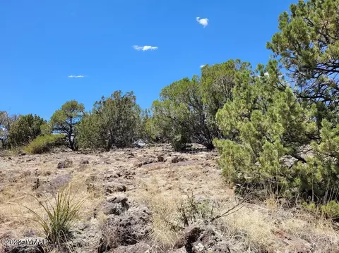 210 Antelope Ln #1, Concho, AZ 85924
