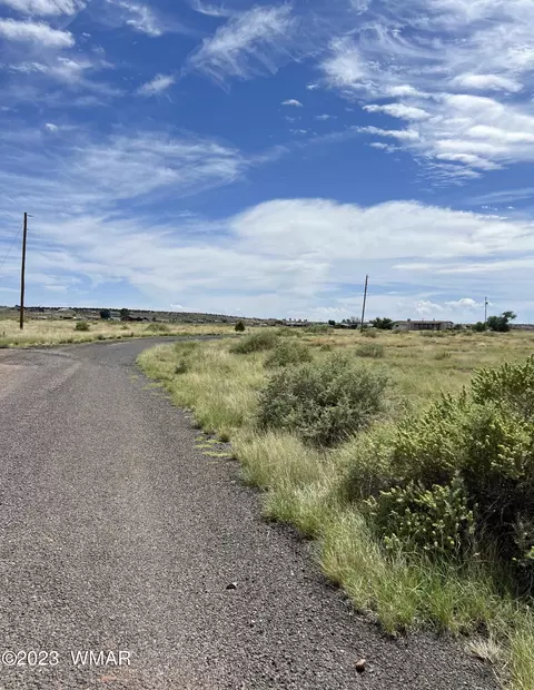66 County Road 6015, Saint Johns, AZ 85936