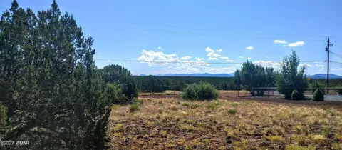 8594 Deer Run Dr, Show Low, AZ 85901