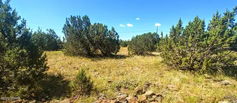 8525 Elkhorn Dr, Show Low, AZ 85901