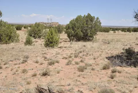 17 Cr N9211, Concho, AZ 85924