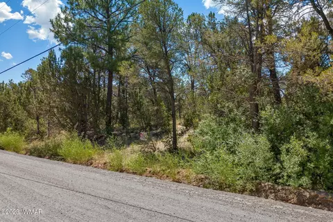 3127 Ranch Rd, Overgaard, AZ 85933