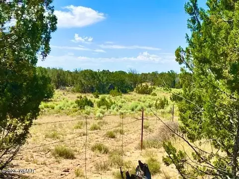 tbd N7298 Lots 104 105 80 Acres, Sanders, AZ 86512
