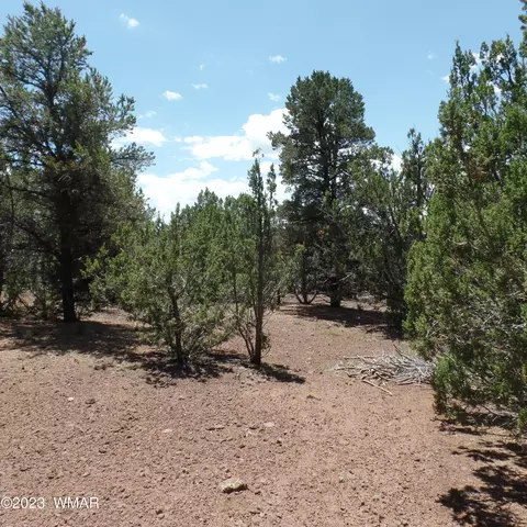 Tbd County Rd 3323 Parcel C, Vernon, AZ 85940