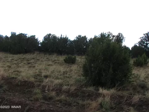21 23 County Rd, Concho, AZ 85924 photo 2