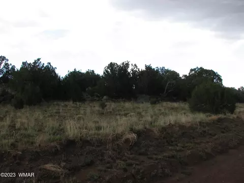21 23 County Rd, Concho, AZ 85924 photo 3
