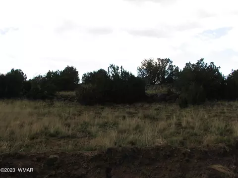 21 23 County Rd, Concho, AZ 85924 photo 4