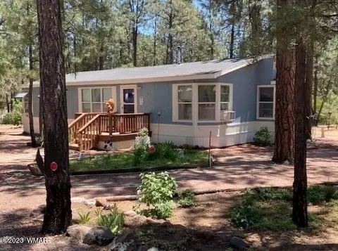 2857 Angel Trl, Overgaard, AZ 85933 photo 1