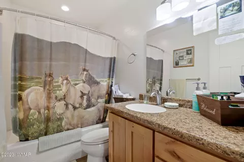 212 Mulligan Rd, Eagar, AZ 85925 photo 18