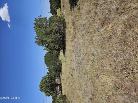 8576 Red Fox Ln, Show Low, AZ 85901