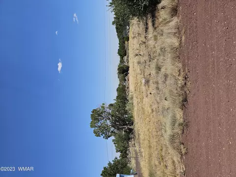 8580 Jackrabbit Dr, Show Low, AZ 85901