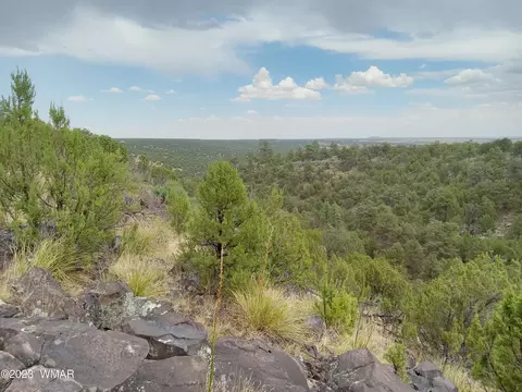 20 County Road 8116, Concho, AZ 85924