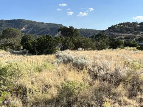 tbd S Wye Dr, Eagar, AZ 85925 photo 2