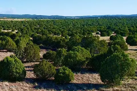 tbd Birdwing Lot A 290 Acres, Clay Springs, AZ 85923