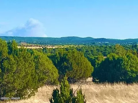 Tbd Birdwing Lot B 3.86 Acres, Clay Springs, AZ 85923