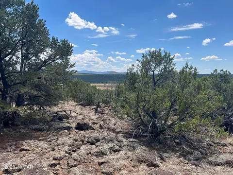 5 County Road 8234, Concho, AZ 85924