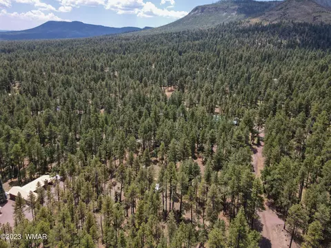 4 Colorados Ln, Alpine, AZ 85920