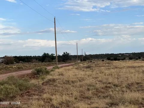 8792 Morgan Ln, Snowflake, AZ 85937 photo 3
