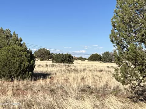 164 N9213, Concho, AZ 85924