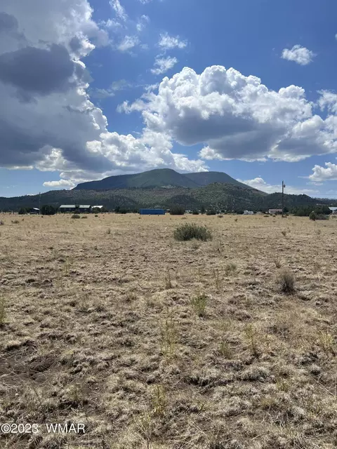 Lot 127 N Cr 2004, Nutrioso, AZ 85932
