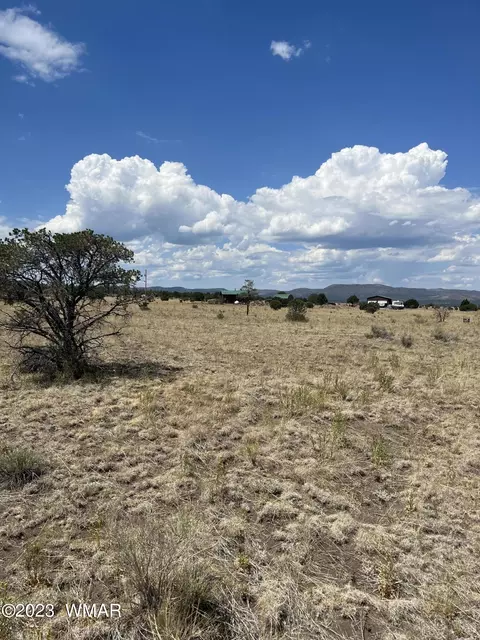 Lot 128 N Cr 2004, Nutrioso, AZ 85932
