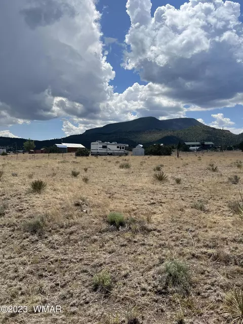 Lot 129 N Cr 2004, Nutrioso, AZ 85932