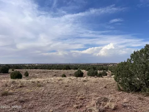 Tbd N9218, Concho, AZ 85924 photo 5