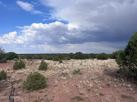 Tbd N9218, Concho, AZ 85924 photo 2