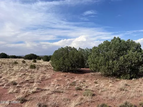 Tbd N9218, Concho, AZ 85924 photo 7