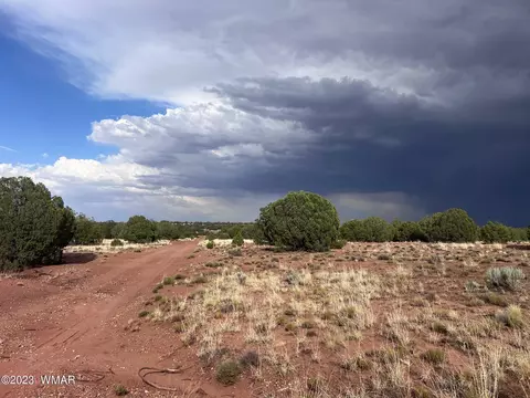 Tbd N9218, Concho, AZ 85924 photo 10