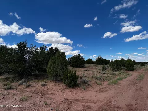 Tbd N9218, Concho, AZ 85924 photo 13