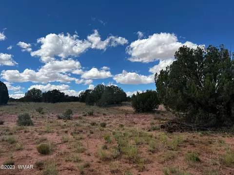 Tbd N9218, Concho, AZ 85924 photo 14